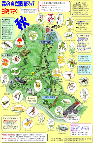 森の自然マップ